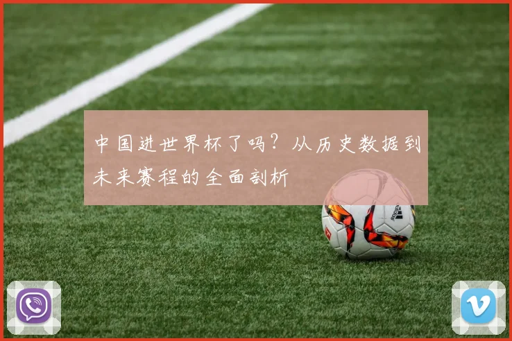 中国进世界杯了吗?从历史数据到未来赛程的全面剖析