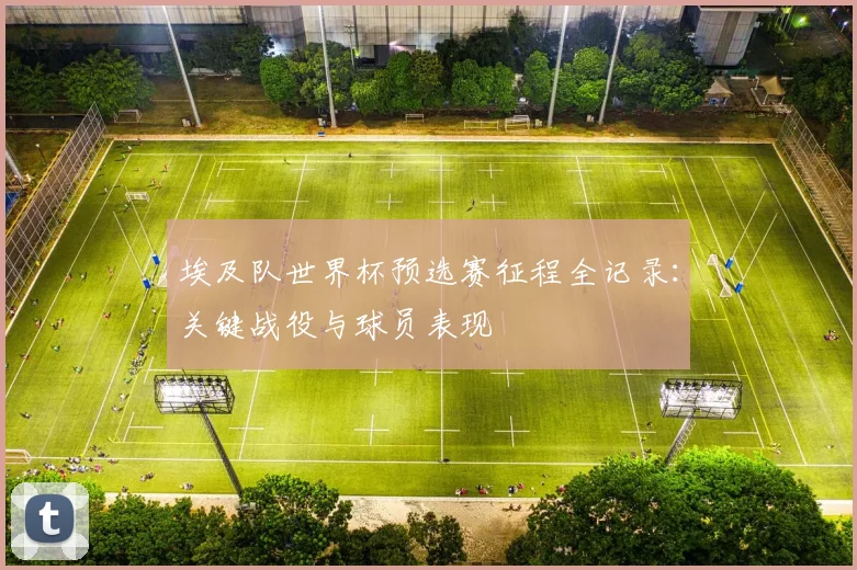 埃及队世界杯预选赛征程全记录:关键战役与球员表现