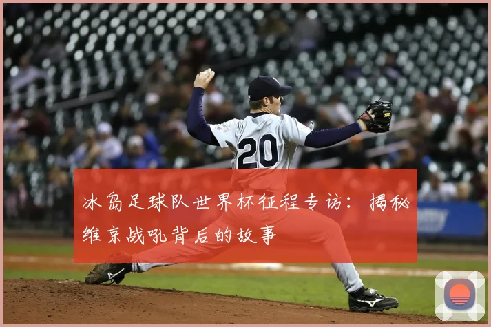 冰岛足球队世界杯征程专访：揭秘维京战吼背后的故事